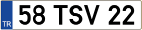 Truck License Plate
